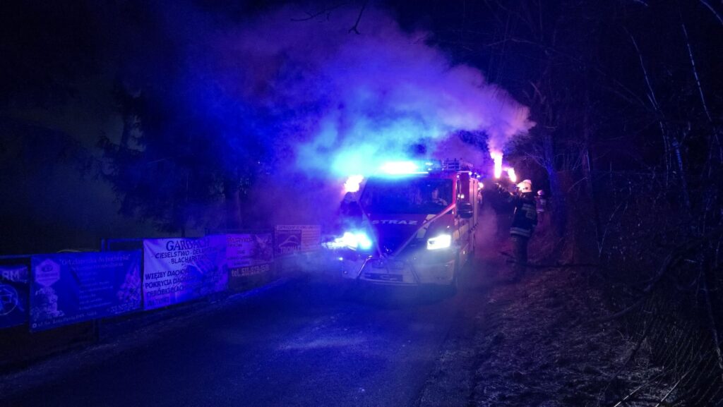 obraz 2026 03 17 124859474