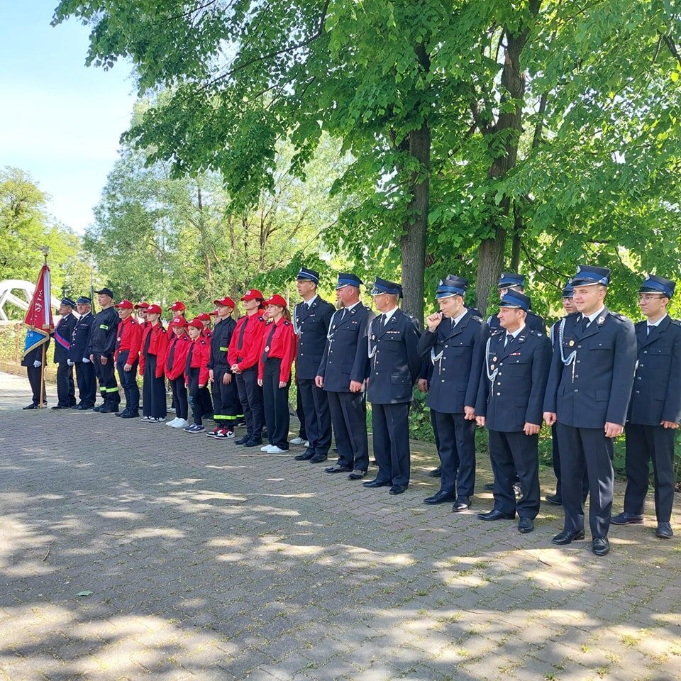 obraz 2026 03 17 125548253